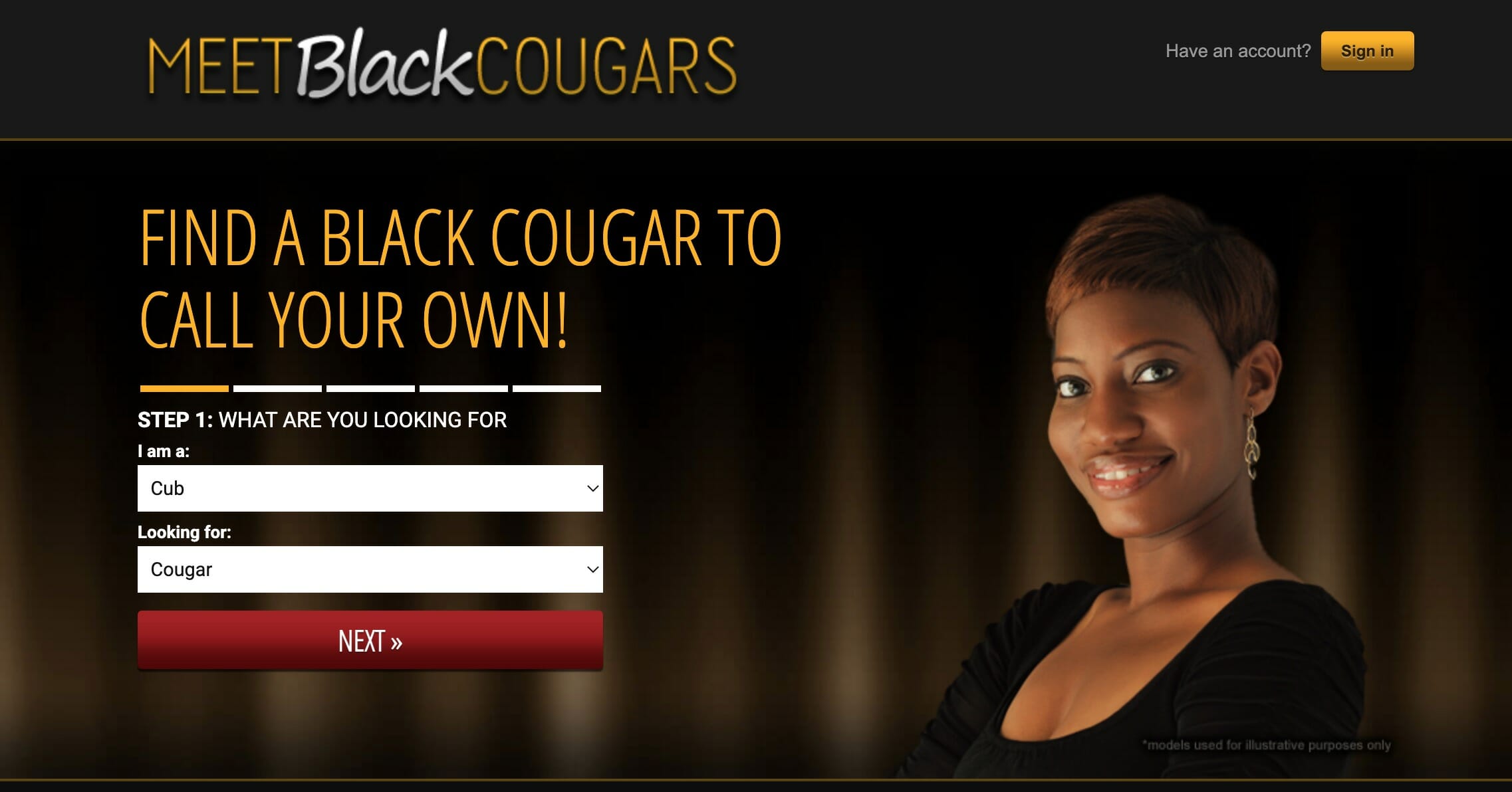 MeetBlackCougar